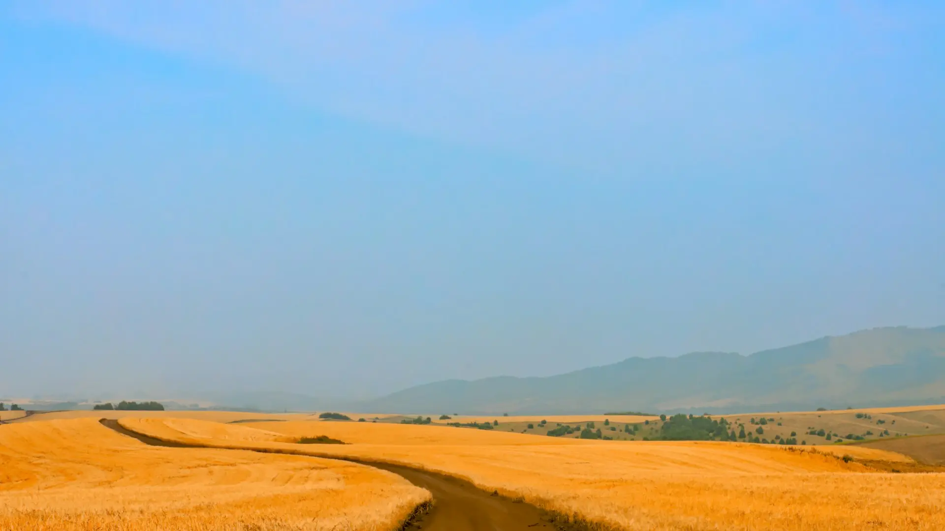 Rooted In Efficiency