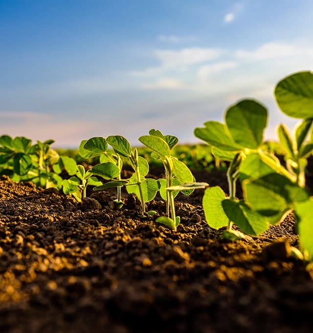 Advanced Crop Nutrition